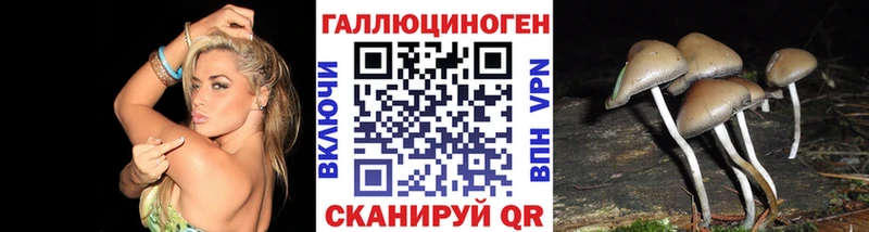 Псилоцибиновые грибы Psilocybe  наркотики  Елец 